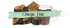 Chaga Tea recipes and preparation