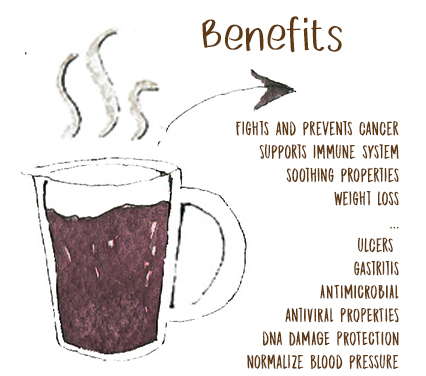 Chaga tea benefits