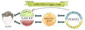 Chaga Mushroom Processing Chain