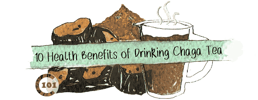 10 health benefits of drinking Chaga tea