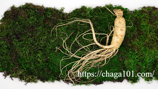 Energi Alami Akar Kehidupan: Khasiat dan Potensi Ginseng