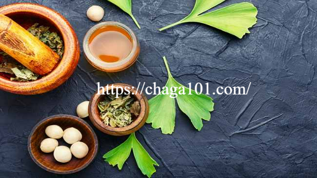 Menyelami Khasiat dan Potensi Ginkgo Biloba
