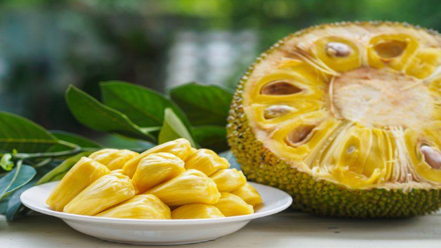 10 Manfaat Buah Nangka untuk Kesehatan Tubuh